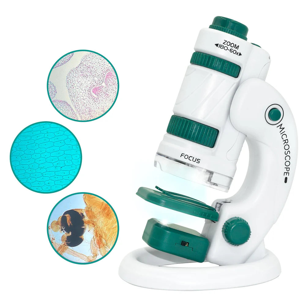 Microscop Lean Toys cu exemple de mostre mărite, celule de frunză, ceapă și insectă.